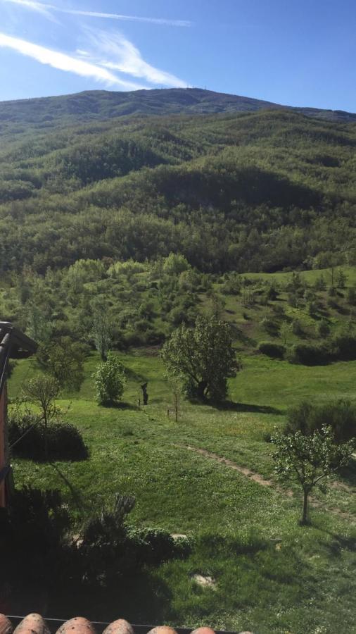 Nido D'Amore Nei Colori Dernice Bagian luar foto